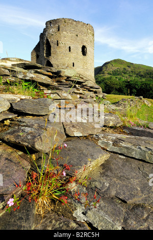 The derelict keep of Dolbadarn Castle on the banks of Llyn Padarn near Llanberis in Snowdonia national park North Wales Stock Photo