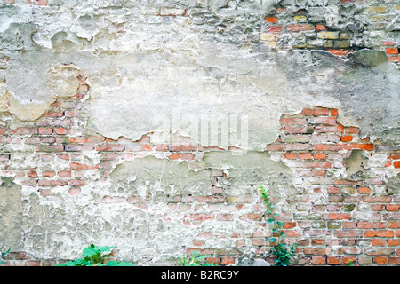 An old crumbling wall in a Berlin cemetery Stock Photo