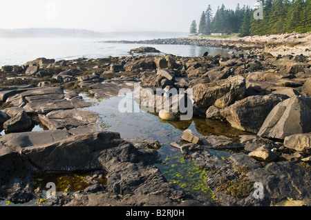 Fog rolling in on a rocky Maine seacoast landscape. Stock Photo