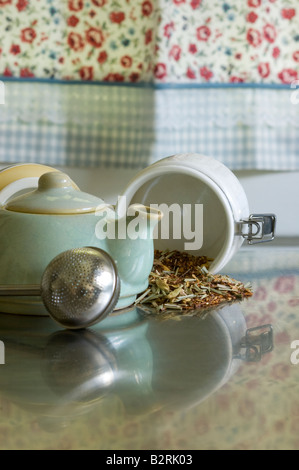 Close up of teapot tea ball white canister with loose red rooibos chai tea spilling reflected in aluminum counter copy space Stock Photo