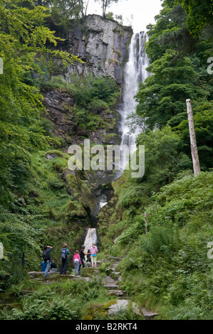 Pistyll Rhaeadr waterfall the tallest in Wales Llanrhaeadr ym Mochnant Powys Wales UK Stock Photo