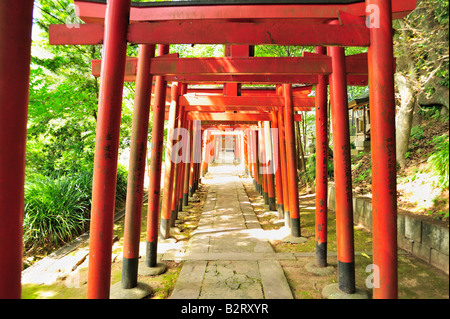 Suwajinja, Nagasaki, Kyushu, Japan Stock Photo