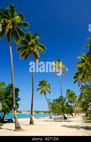 The beautiful white sand beach at the Boquerón Bay (Balneario of Boquerón) by the town of Boquerón, Puerto Rico. Stock Photo