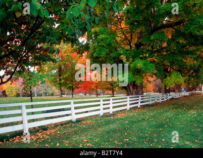 White picket fence amid autumn colors in New England  USA Stock Photo