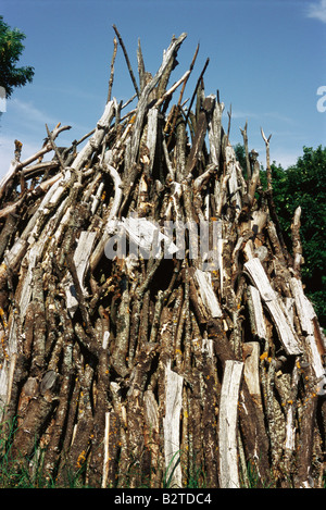 Piled timber, low angle view Stock Photo