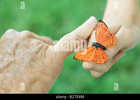 Hands of child and elderly person with butterfly, close-up Stock Photo