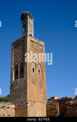 Stork in nest in grounds of the Chellah. Rabat, Morocco Stock Photo