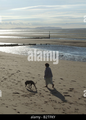 woman walking dog on beach in rhyl north wales Stock Photo