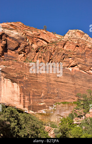 Weeping Rock in Zion Canyon, Zion National Park, Utah Stock Photo