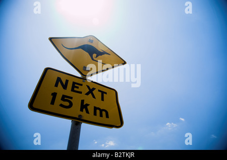 Close up of Kangaroo sign on the east coast of Autralia, against a bright blue sky. Stock Photo