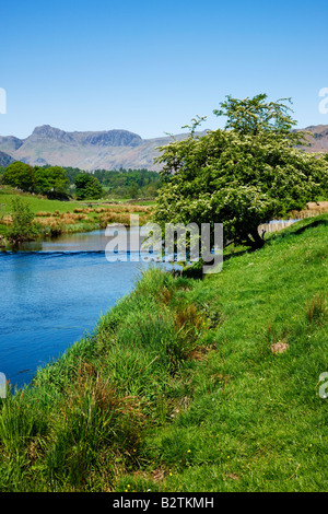 Elterwater In The Early Spring The Langdales In The Distance, The 'Lake District' Cumbria England UK Stock Photo