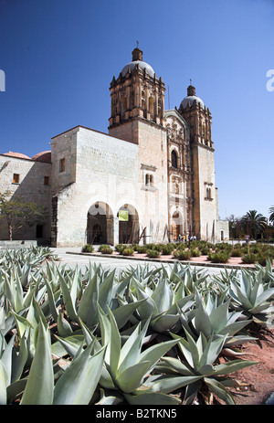 Historic church of Santo Domingo in Oaxaca,  Mexico with a field of agave cacti in the foreground. Stock Photo