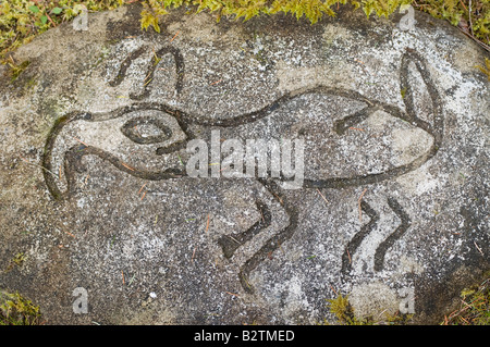 Animal image in the Rock Petroglyph Park Gabriola Island BC Canada Stock Photo