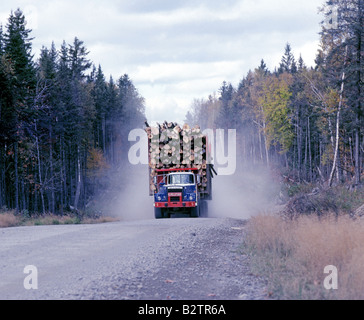 A logging truck filled with spruce and fir trees rumbles along a dusty road in Main s North Woods in October Stock Photo