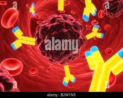 Antibodies attacking cancer cell, illustration Stock Photo - Alamy