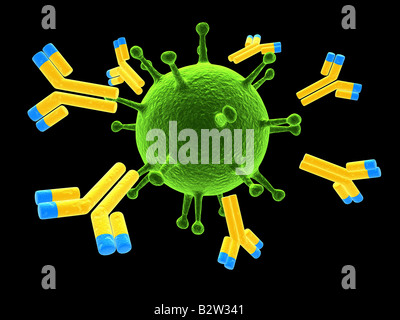 3d illustration of antibodies attacking virus cell into the bloodstream ...