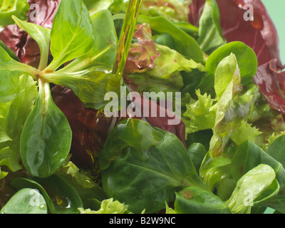 Olive oil being poured onto salad Stock Photo