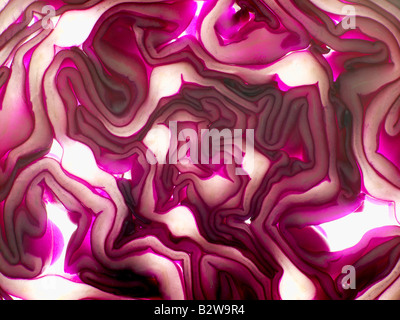 Red cabbage Stock Photo