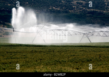 Sprinkler irrigation of a wheat field in Elmore County Idaho Stock Photo