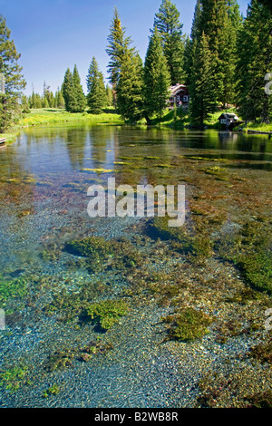 Natural spring water at Big Springs flowing into Henrys Fork inside Island Park Idaho Stock Photo
