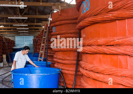 Man supervises large vats of fermenting fish sauce at factory Phu Quoc Island Vietnam Stock Photo