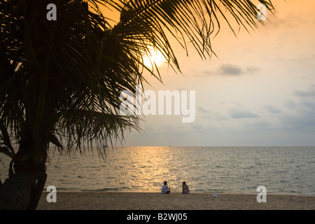 Palm silhouette and couple sitting on sand sunset Long Beach Phu Quoc Island Vietnam Stock Photo