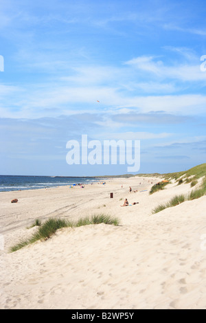 Dunes and beach in Hvide Sande, Denmark Stock Photo