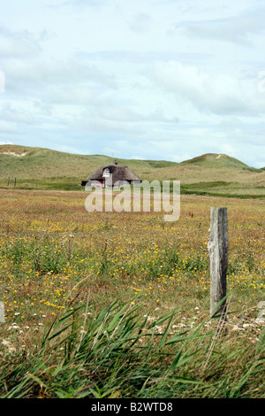 Summer cottage in a dune landscape, Hvide Sande, Denmark Stock Photo