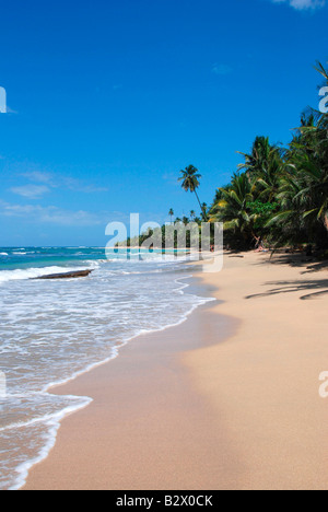 Punta Uva beach, located between Puerto Viejo and Manzanillo. Talamanca ...