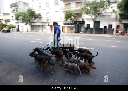 Dog Walker, Buenos Aires, Argentina Stock Photo