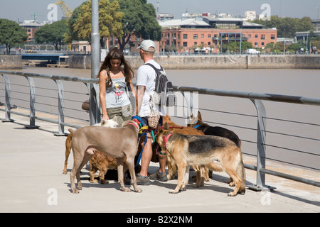 Dog Walker, Buenos Aires, Argentina Stock Photo