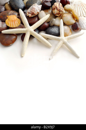 Starfish pebbles and seashells on white background Stock Photo