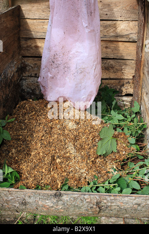 FILLING A COMPOST BIN A MIXTURE OF CHICKEN MANURE AND WOOD SHAVINGS WILL ROT SLOWLY Stock Photo