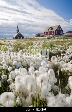 A church in Ilulissat on greenland with Cotton grass in the foreground Stock Photo