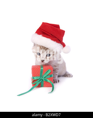 Cute Christmas kitten wearing Santa hat with Christmas gift isolated on white background Stock Photo