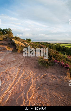 Summer evening on Thurstaston Common Stock Photo