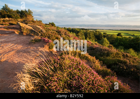 Summer evening on Thurstaston Common Stock Photo