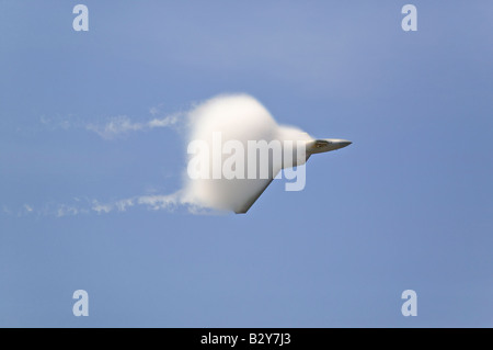 US Air Force F-22A Raptor Jet Fighter making extreme turn at 42nd Naval Base Ventura County (NBVC) Air Show at Point Mugu, CA Stock Photo