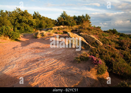 Summer evening on Thurstaston Common Stock Photo