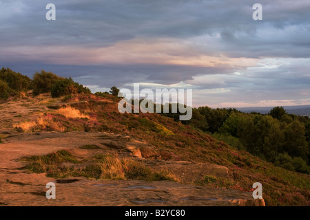 Summer evening on Thurstaston Common Stock Photo