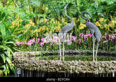 Peace and harmony, National Orchid Garden, Singapore Stock Photo