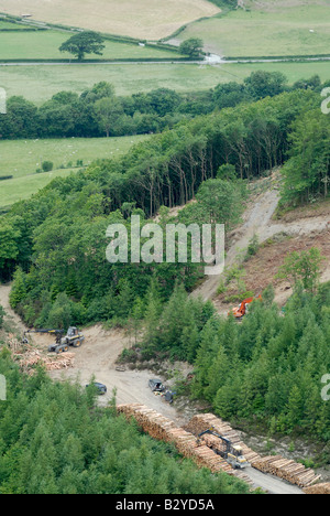 Forestry machinery processing timber in the woodland, Ceredigion, Wales Stock Photo