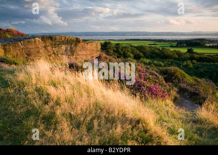 Summer evening on Thurstaston Common Stock Photo