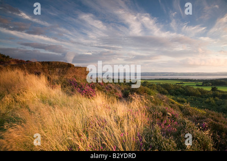 Summer evening on Thurstaston Common Stock Photo