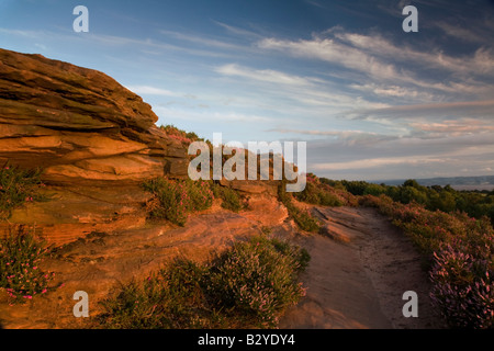 Summer evening on Thurstaston Common Stock Photo