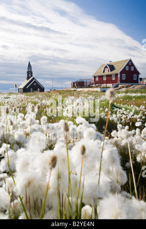 A church in Ilulissat on greenland with Cotton grass in the foreground Stock Photo