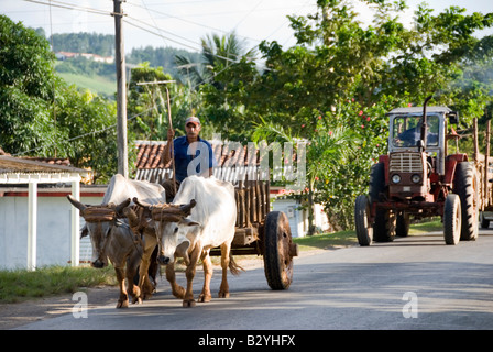 OXEN PULLING CART IN FRONT OF TRACTOR ON COUNTRY ROAD THROUGH VINALES TOWN CUBA Stock Photo