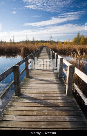Boardwalk in Bog, Mer Bleue Conservation Area, Ottawa, Ontario, Canada Stock Photo