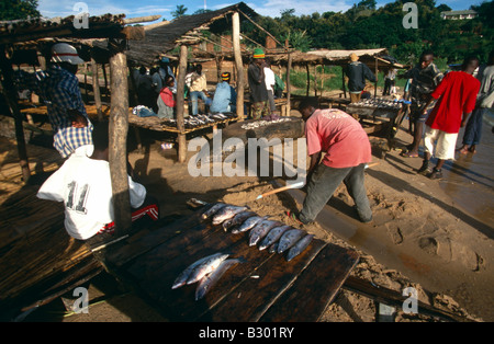 Fresh fish market scene in rural Malawi, Africa Stock Photo