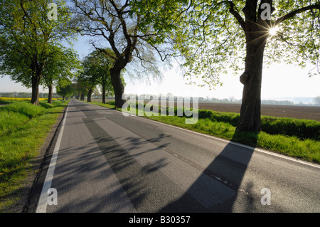 Country Road, Mecklenburg-Western Pomerania, Germany Stock Photo